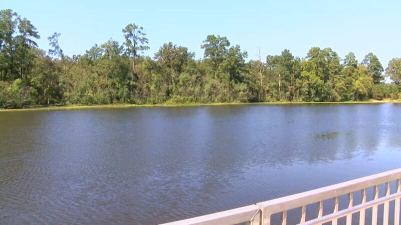 Lago Jones