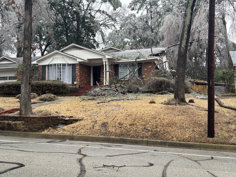 Blake Holland de KLTV informa desde Tyler, donde las heladas han dañado árboles y casas. Esta...